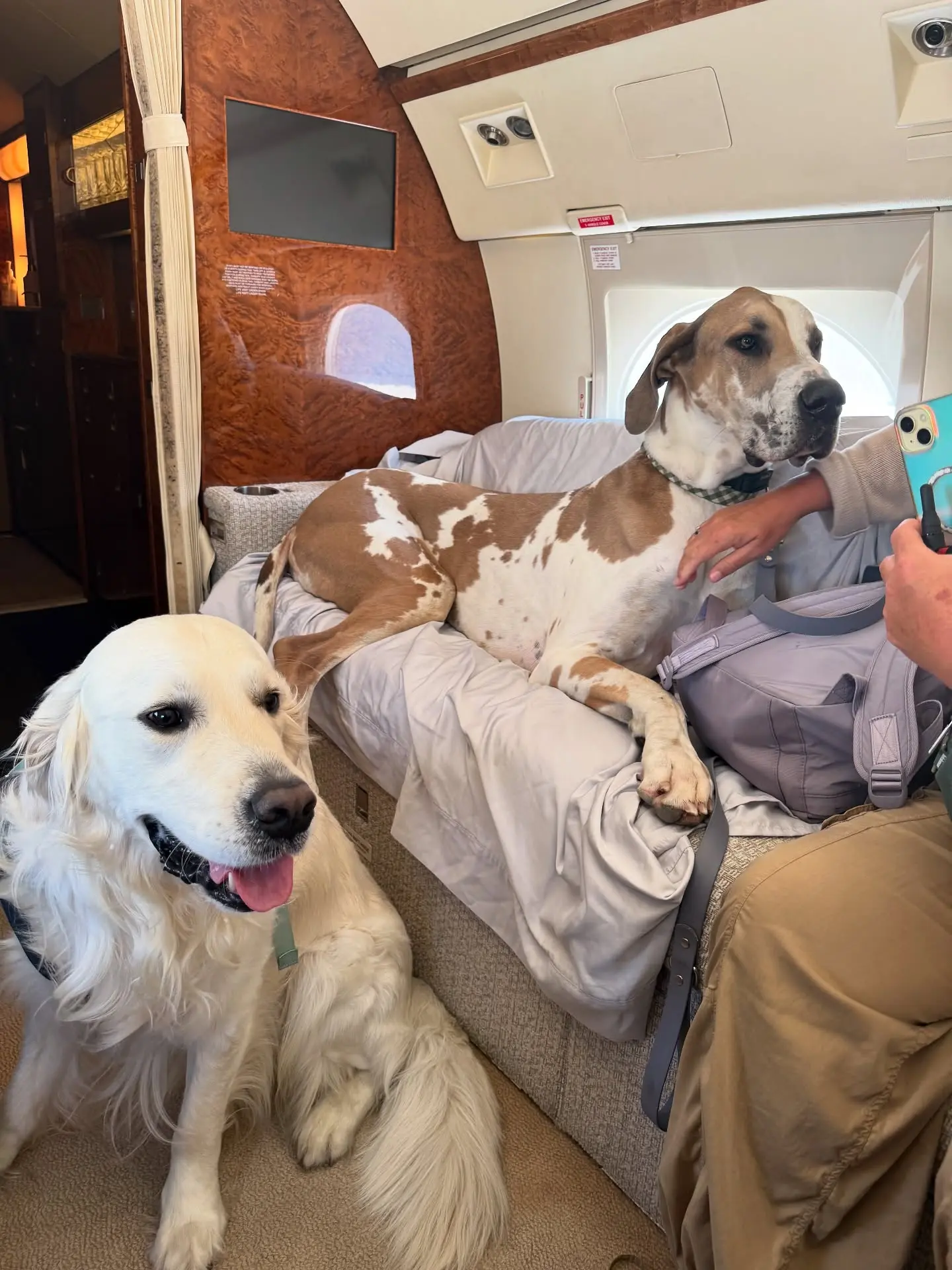 Kate Miller Praises Pet-Friendly K9Jets Private Flight