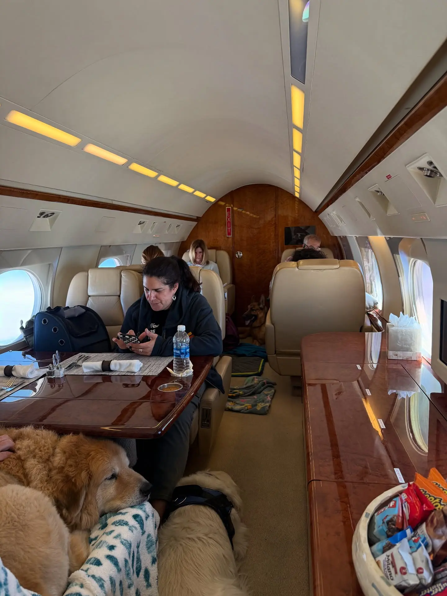 Kate Miller Praises Pet-Friendly K9Jets Private Flight