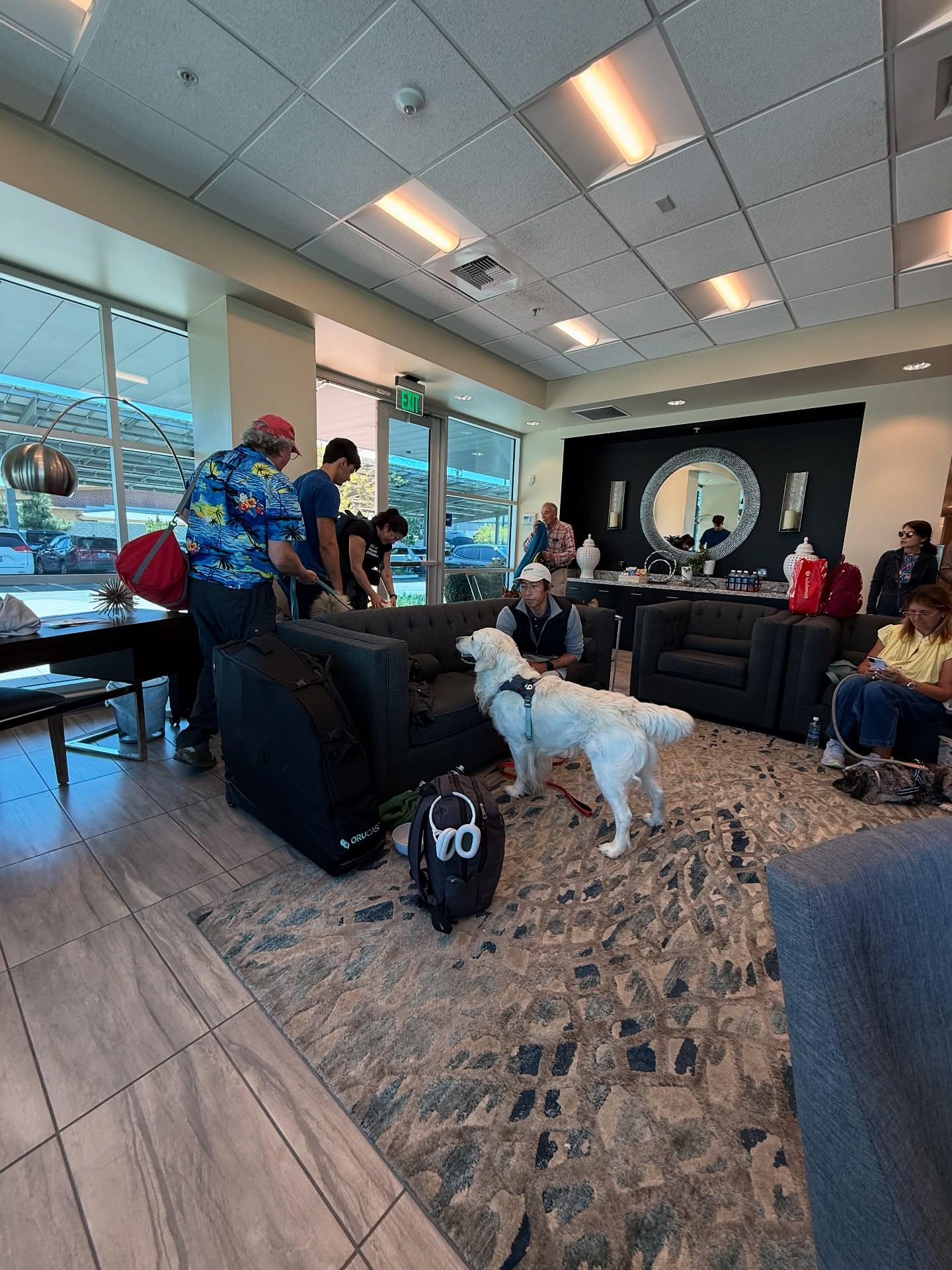 Kate Miller Praises Pet-Friendly K9Jets Private Flight