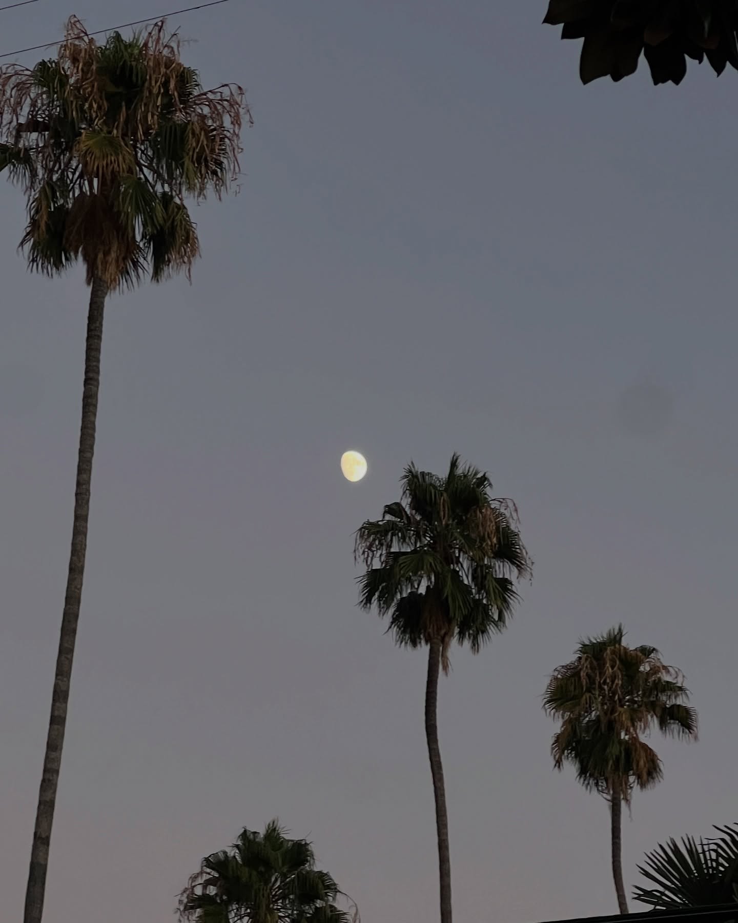Katie Sarife Showcases L.A. Cool Vibes