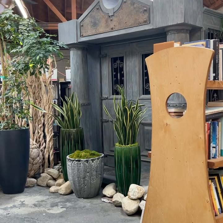 Katie Sarife Showcases L.A. Cool Vibes