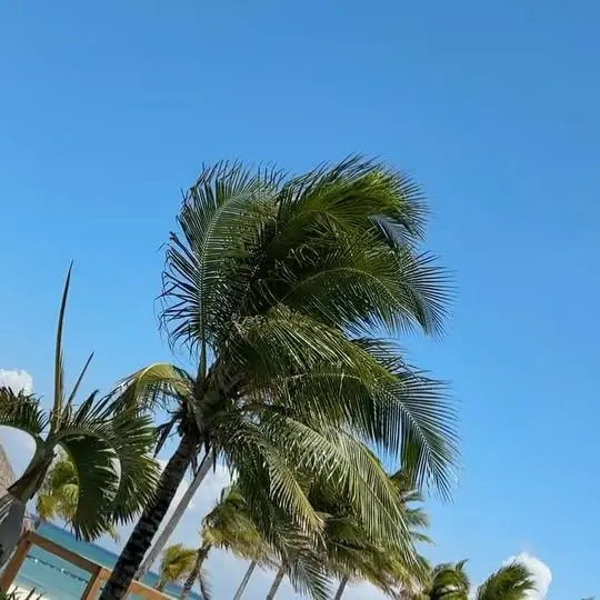 Kelly McCreary Enjoys Paradise at Fairmont Mayakoba
