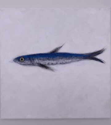 Kid Koala Unveils Original Painting Anchovy 638
