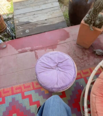Hollywood star finds nature's marvel on her porch, sharing a quaint finch nesting moment!!