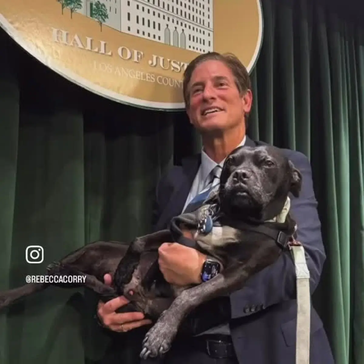 L.A. DA's Tough Stand Against Animal Abuse Offers Hope for Skid Row Dogs and the Community
