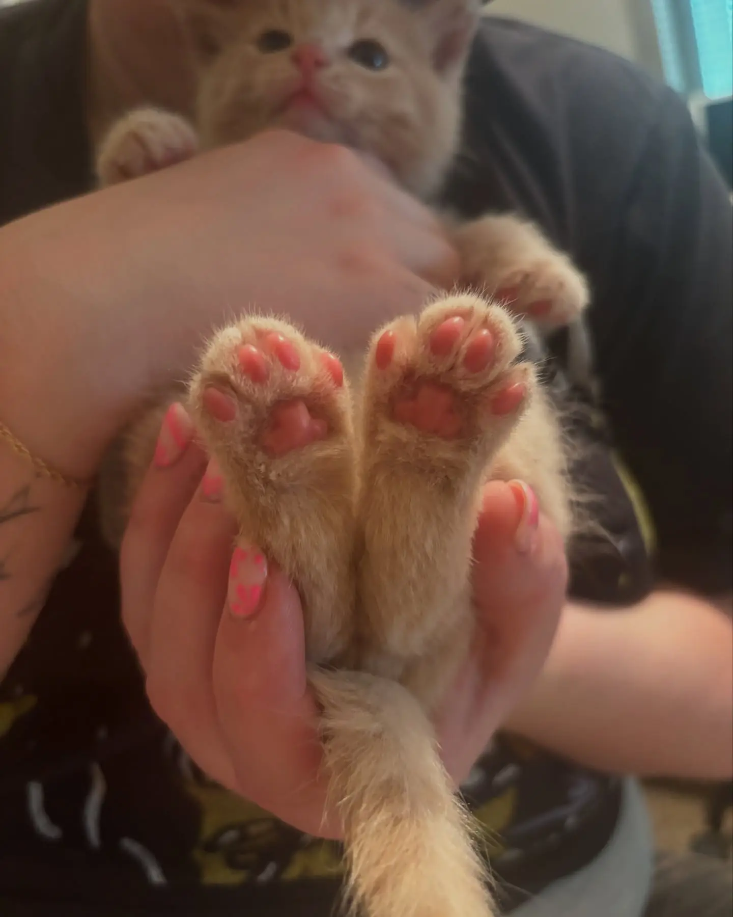 Lacie Marie Evans Unveils Adorable Toe Beans Trend Lacie charms fans with her cute toe beans, sparking trendy vibes on Instagram delight now.