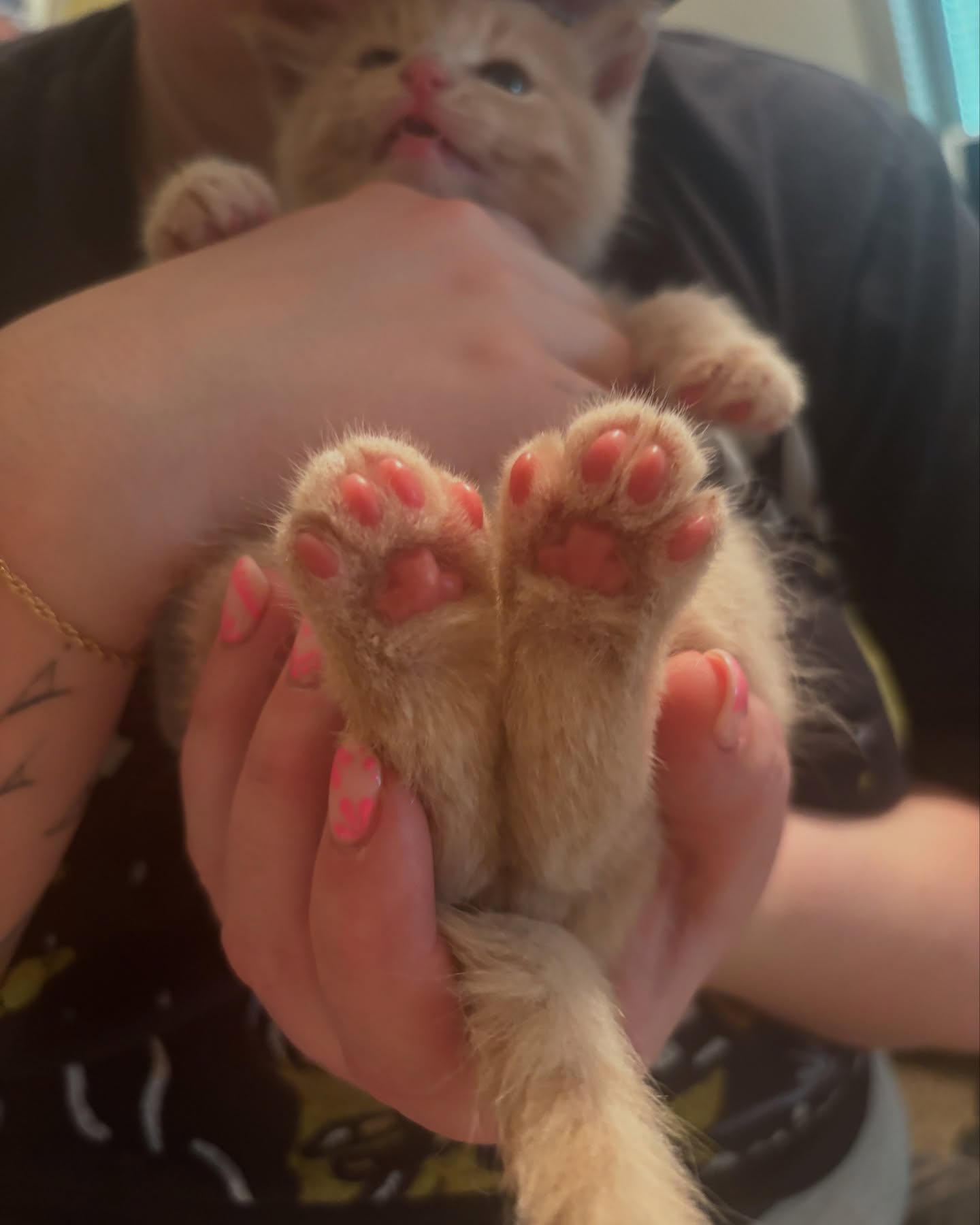 Lacie Marie Evans Unveils Adorable Toe Beans Trend