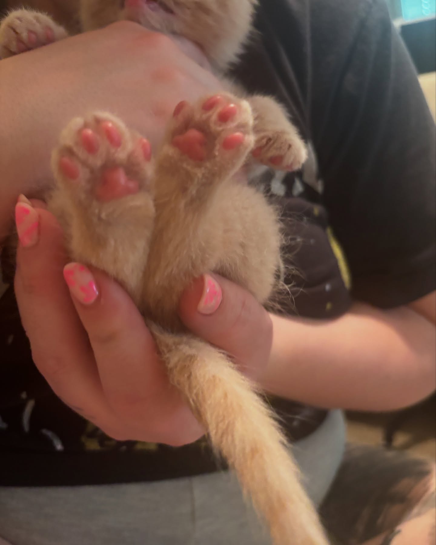 Lacie Marie Evans Unveils Adorable Toe Beans Trend