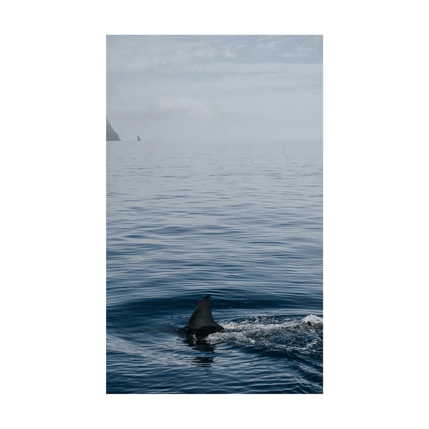 Lana Condor’s Shark-Inspired Insta Moment
