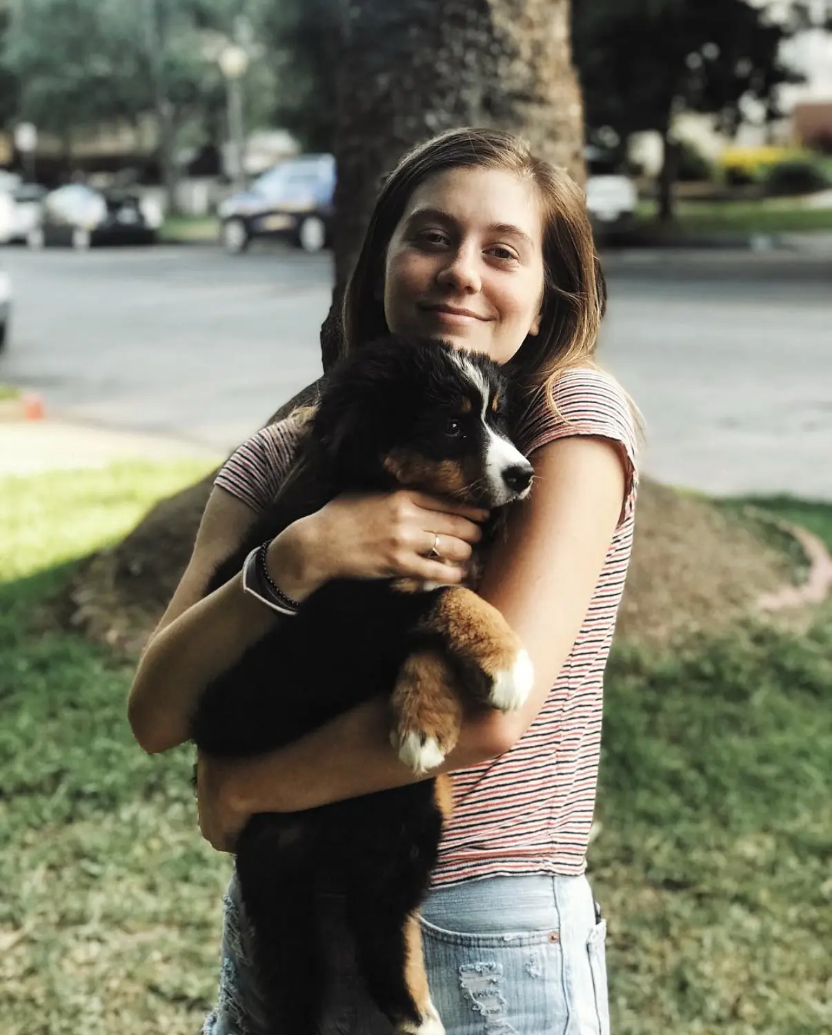 Laura Dreyfuss Bids Farewell To Her Beloved Banjo Tribute to Banjo embraces tender moments and an irreplaceable bond in Laura’s farewell!!