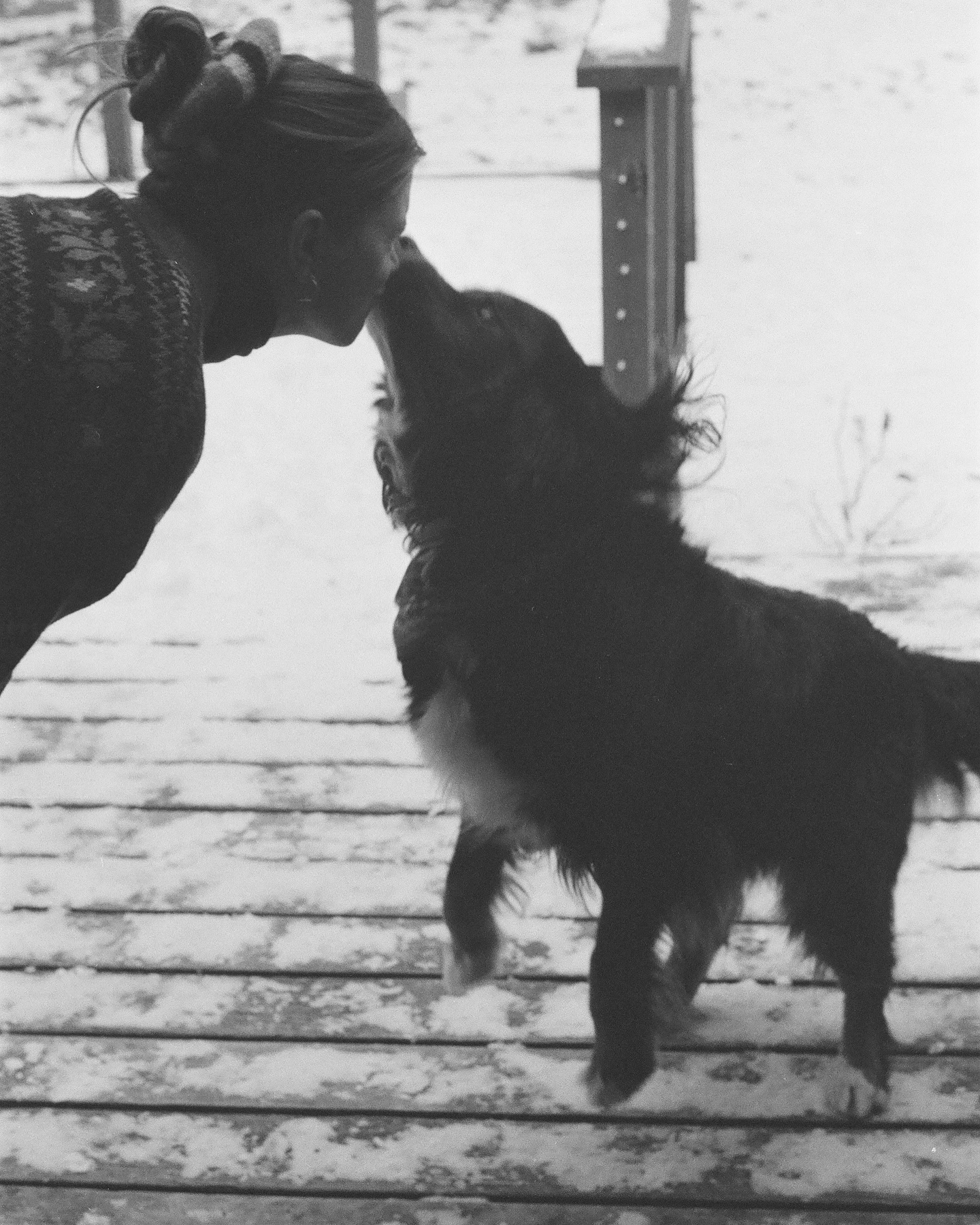 Laura Dreyfuss Bids Farewell To Her Beloved Banjo