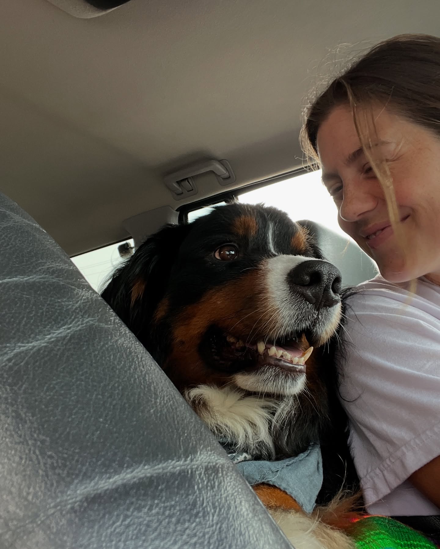 Laura Dreyfuss Bids Farewell To Her Beloved Banjo