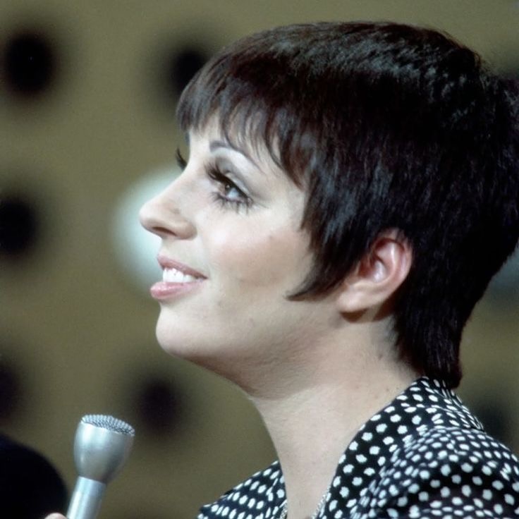 Liza Minnelli Calls Fans for Memoir Photos