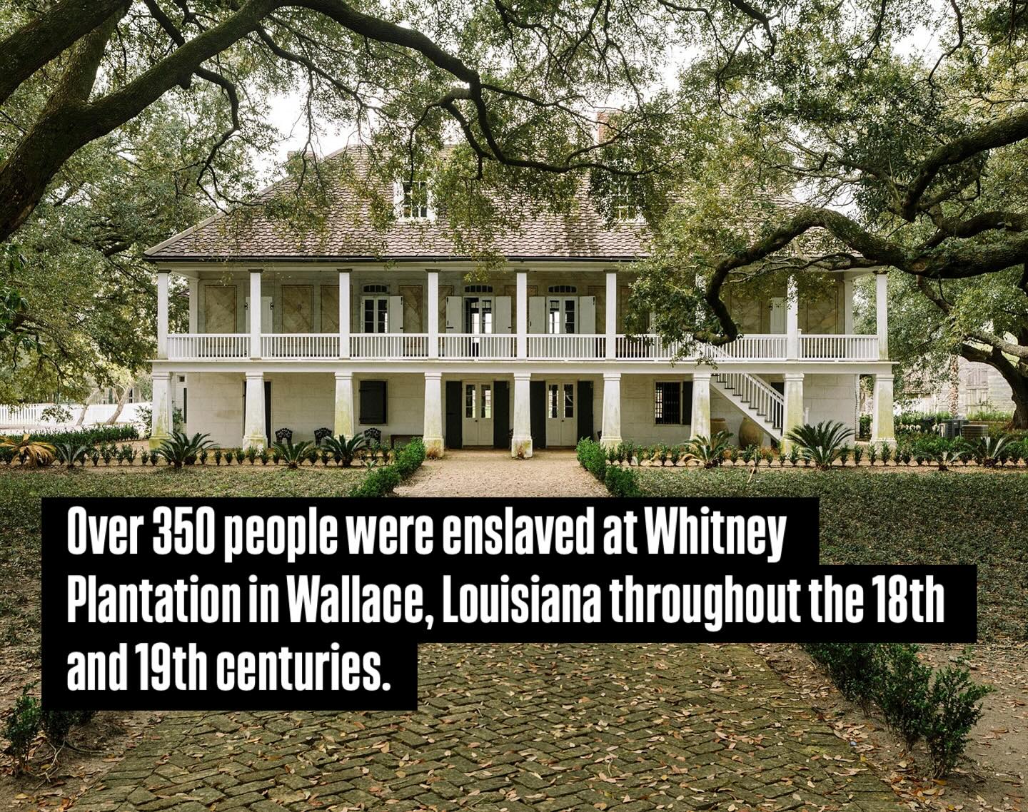 Loni Love Honors Whitney Plantation And Slavery In America