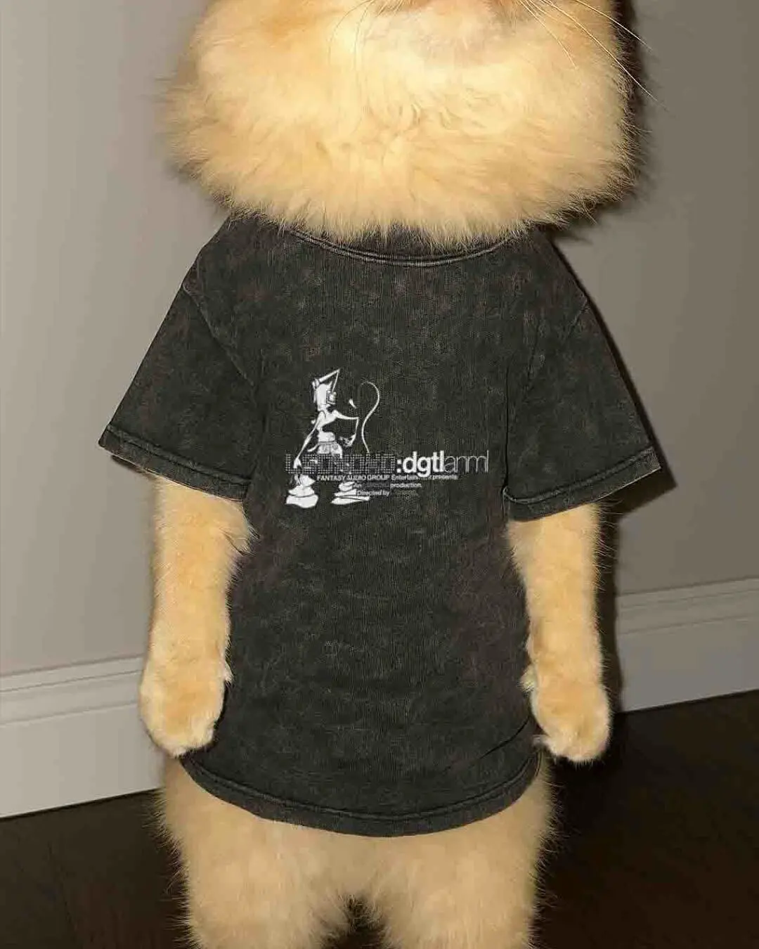 LSDXOXO Unveils DGTL ANML Merch Ahead Of Album Release