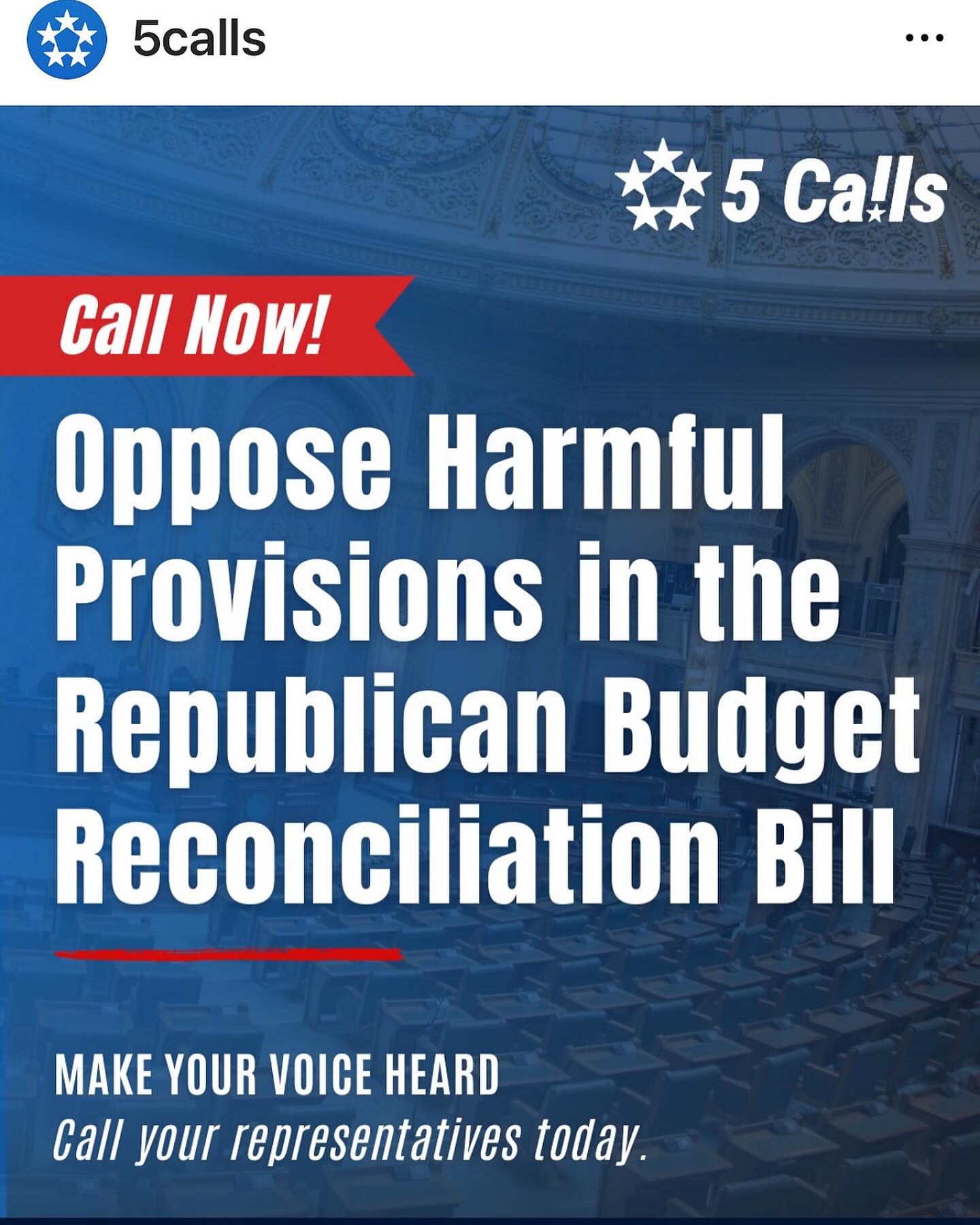 Peri Gilpin supports 5calls and inspires civic duty, urging citizens to call their Reps.!