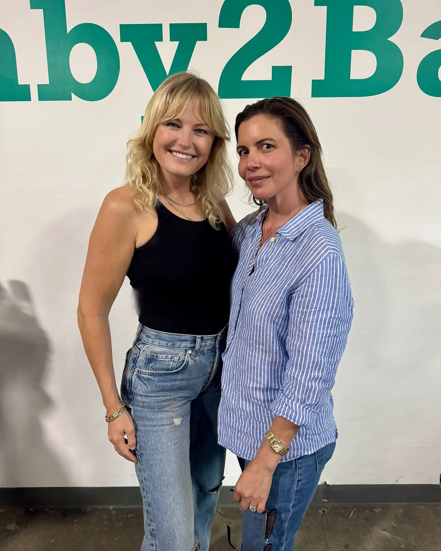 Malin Akerman Aids LA Wildfire Families