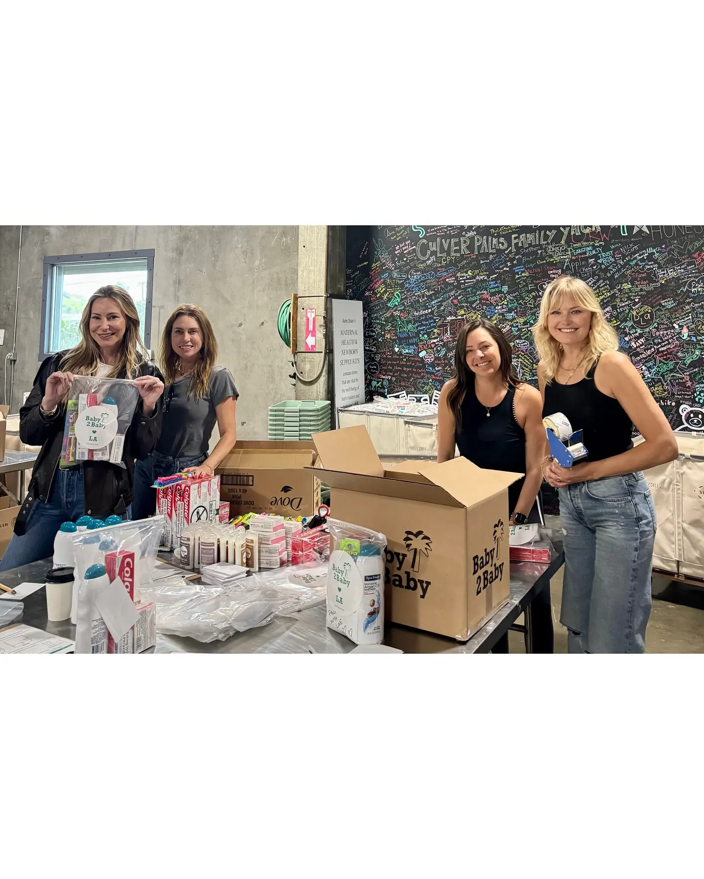 Malin Akerman Aids LA Wildfire Families