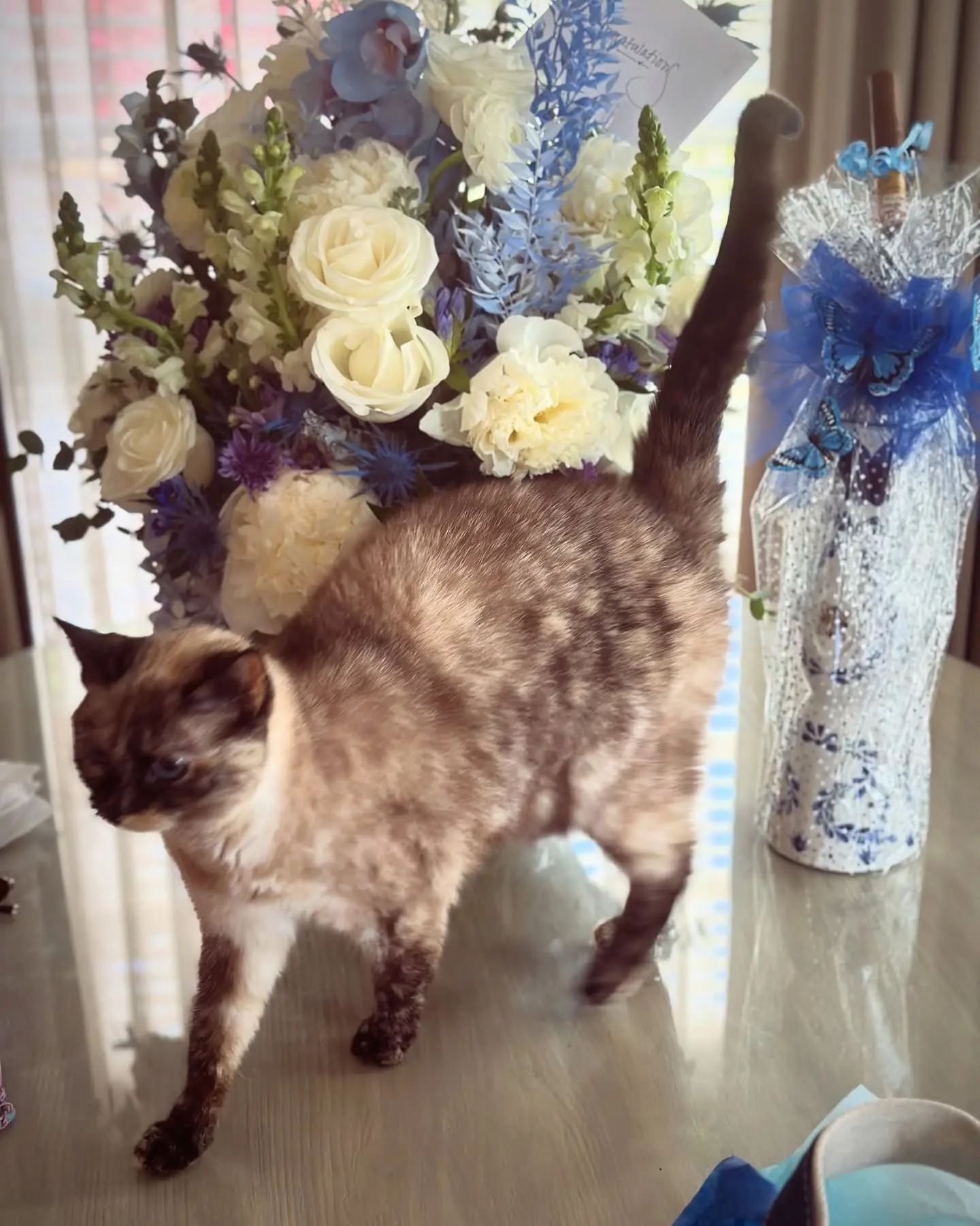 Marla Maples Shares Cat Patrol for Baby Alexander Ex–first lady’s feline pal keeps an eye on gifts marking the household’s tiniest newcomer.