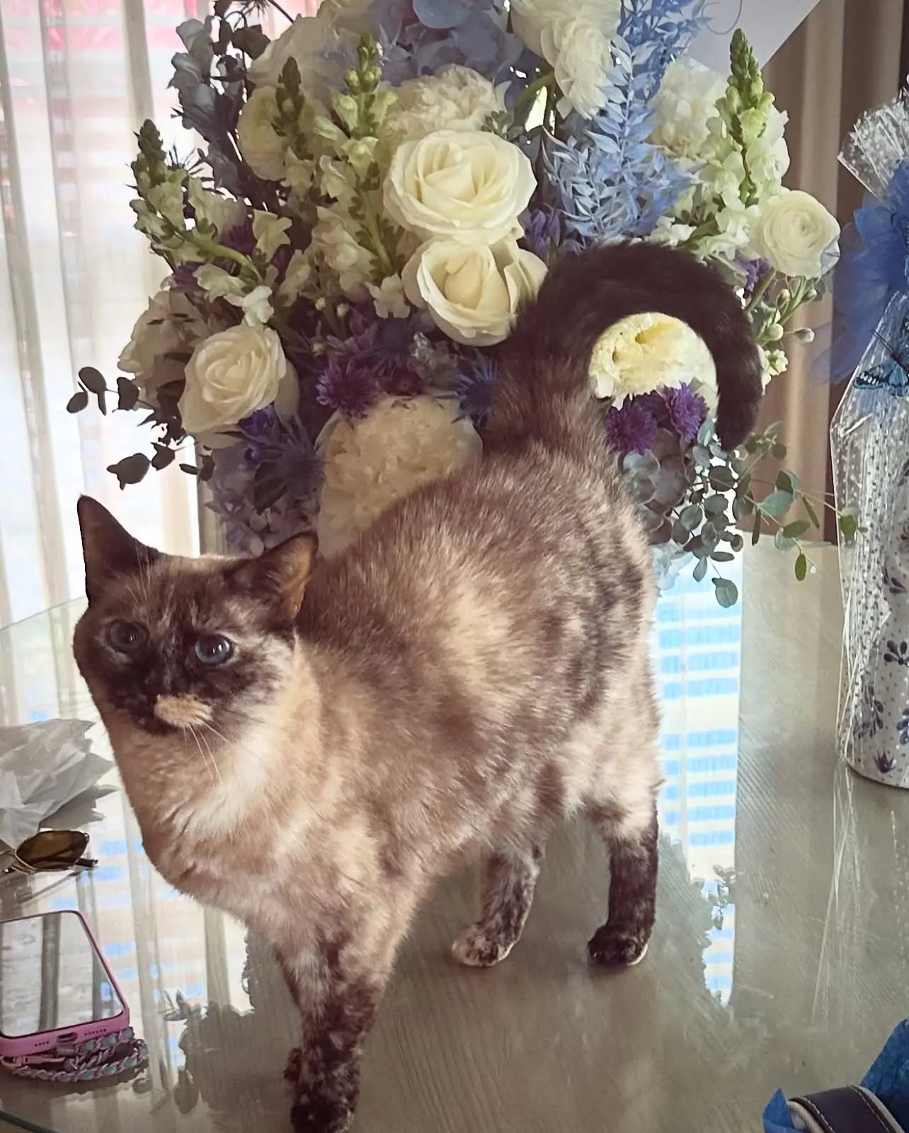 Marla Maples Shares Cat Patrol for Baby Alexander
