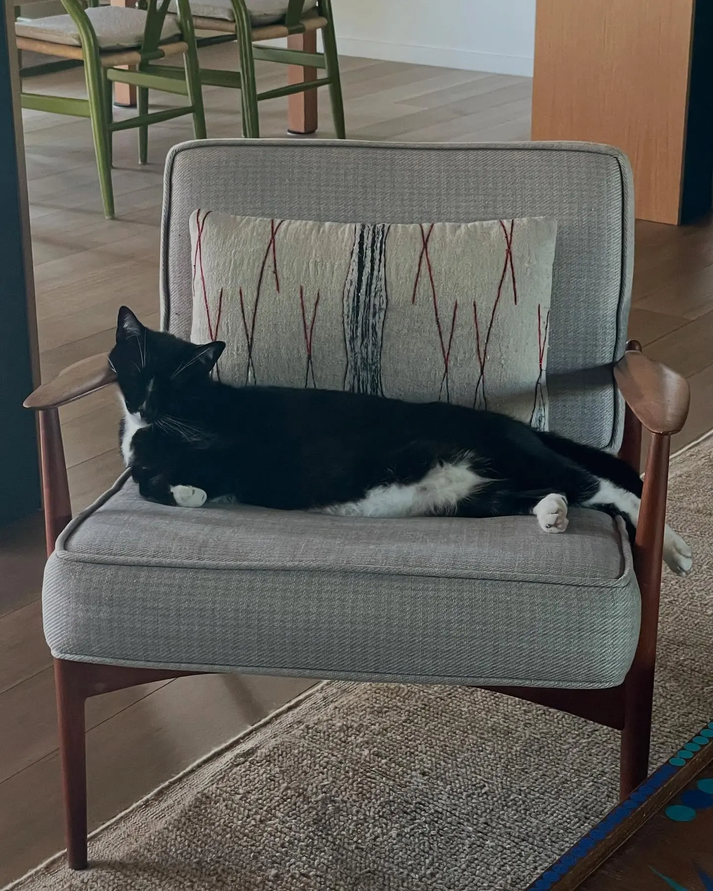 Mary Elizabeth Ellis' Pet Shenanigans Go Viral