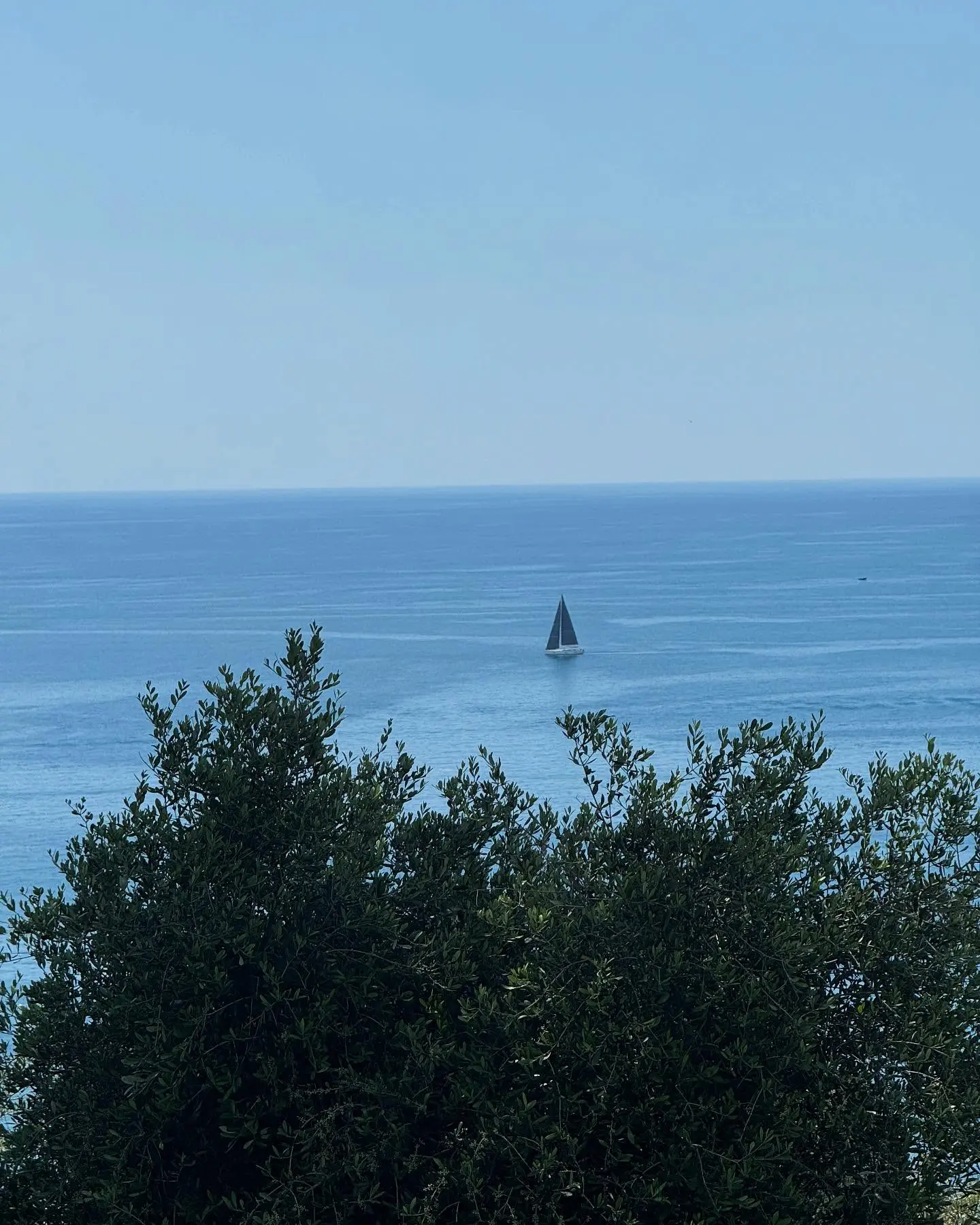 Dynamic festival jury appearance fuels art and global director passion on Riviera Coast!!!