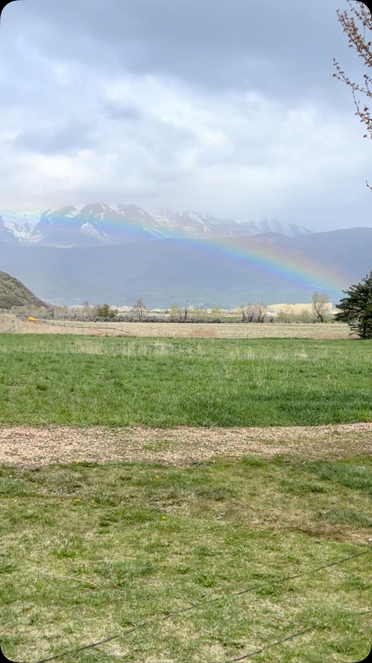 Melissa Peterman’s Rainbow Morning In Utah Radiant office vibes come alive in Utah as Melissa ignites the morning with joyful hues!!!