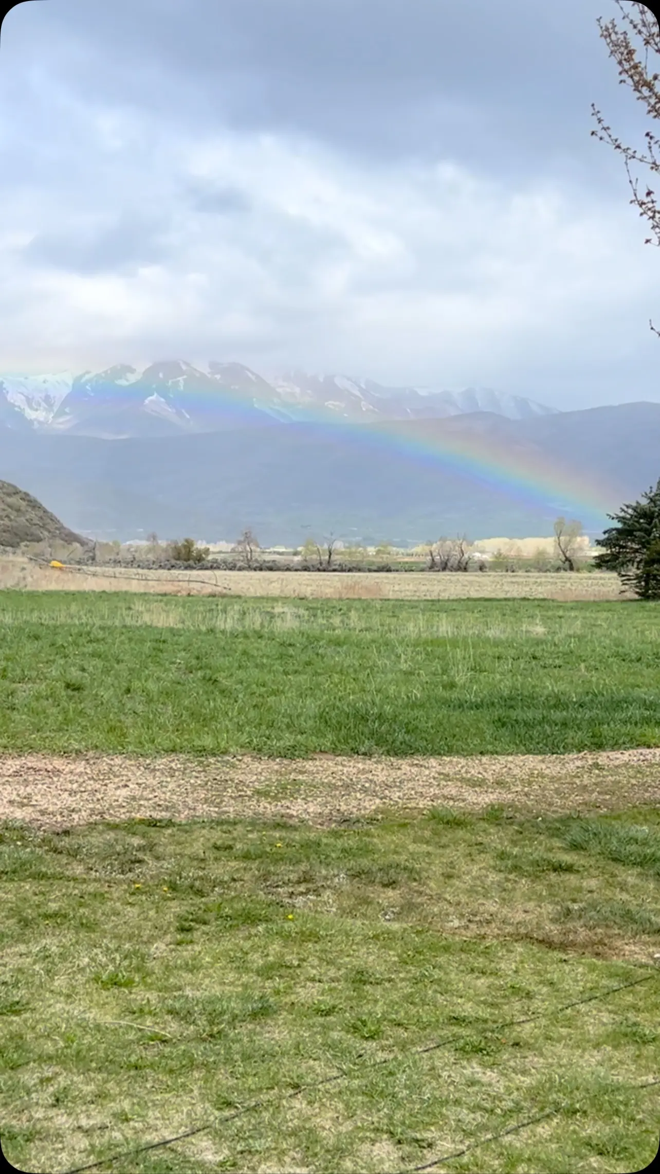 Melissa Peterman’s Rainbow Morning In Utah Radiant office vibes come alive in Utah as Melissa ignites the morning with joyful hues!!!