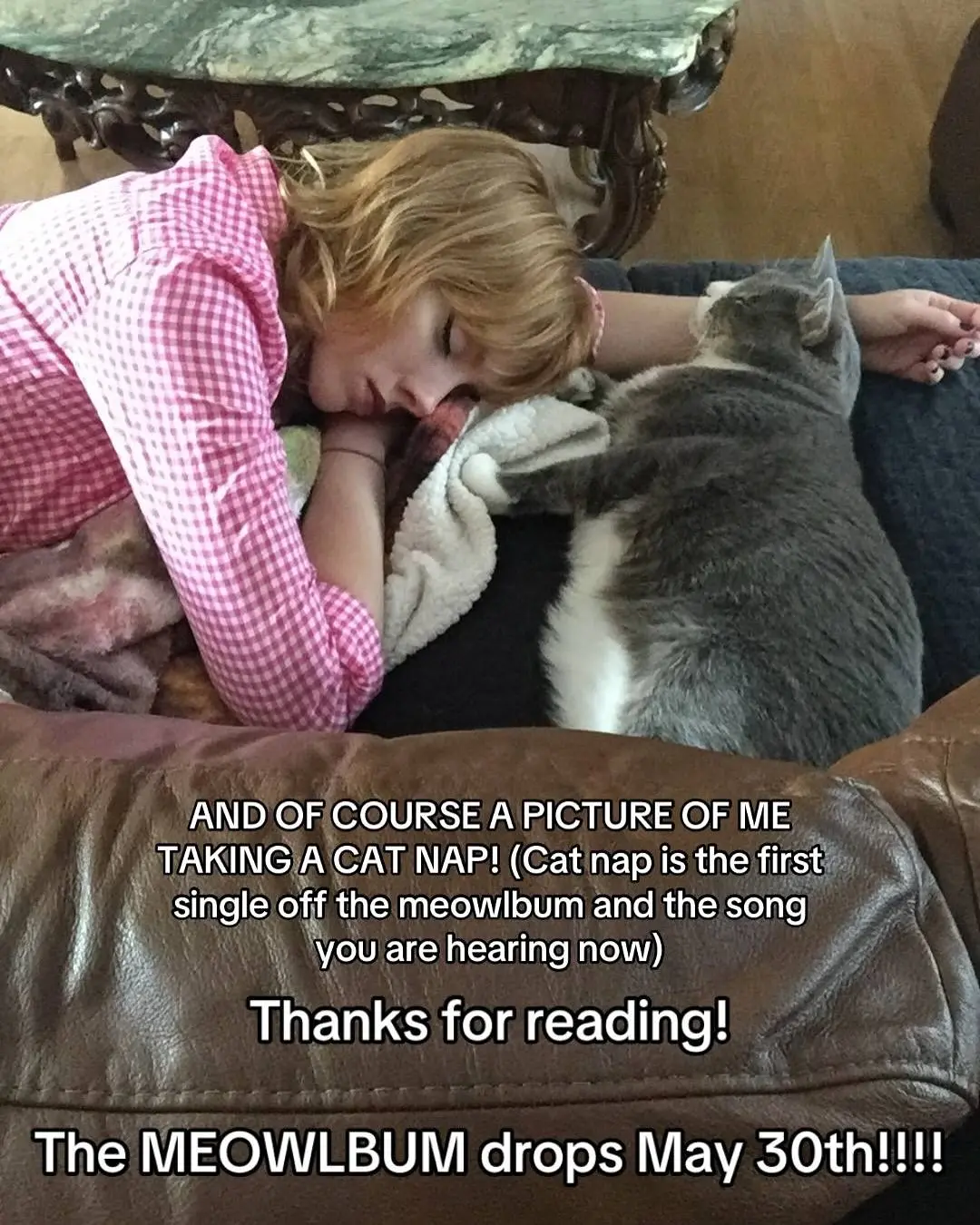 Meredith Bull Drops 'The Meowlbum' of All Cat Songs