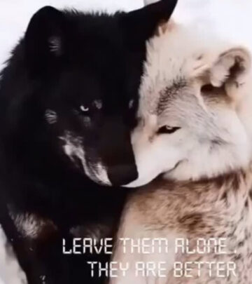 Mickey Rourke urges fans worldwide to honor wildlife by preserving nature's divine beauty!