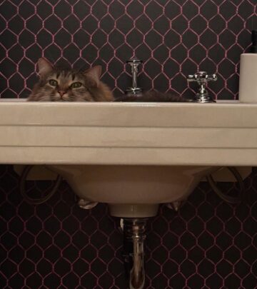 Morning Joy From Sarah Jessica Parker