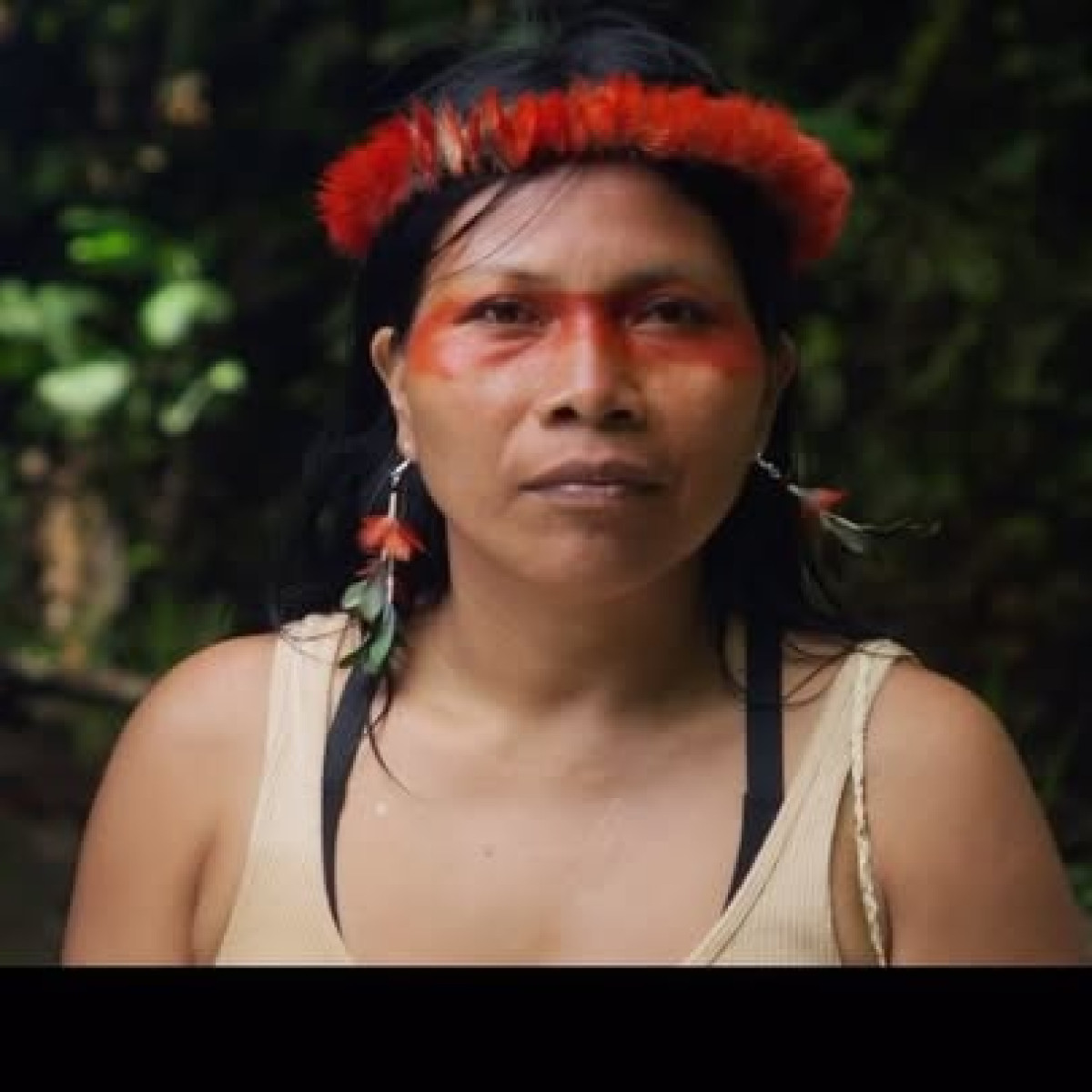 Mothers And Mother Earth: Defending The Amazon Honor indigenous defenders in a vital fight for Earth’s lush future this celebration. Now!!?