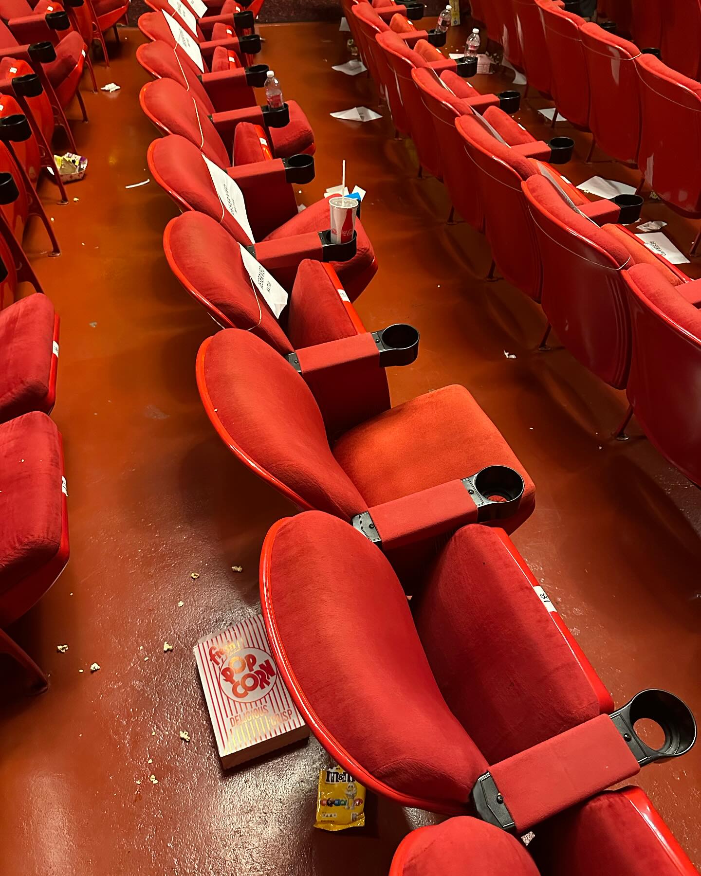 Dana Boulos unveils a daily movie fix, inspiring fans to embrace films as life's cure now.