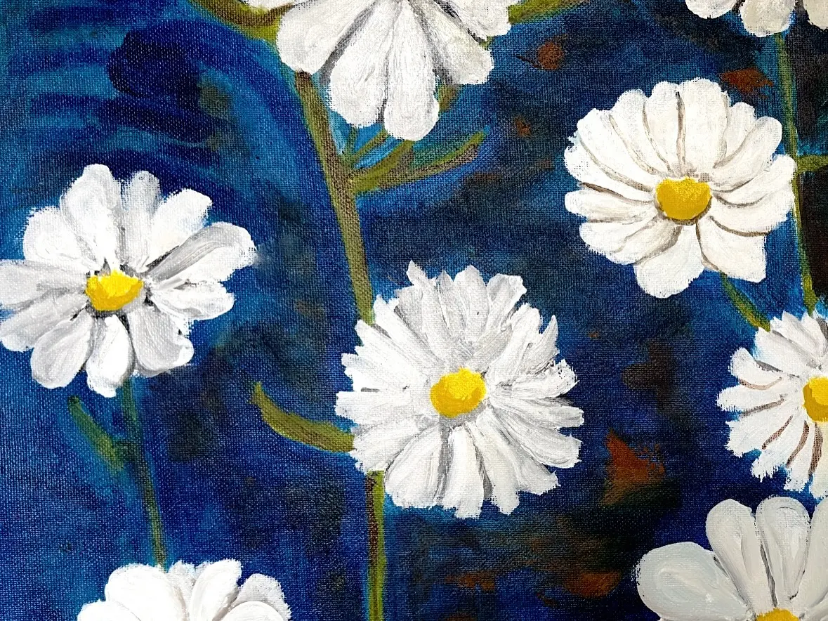 Mr. JD King Unveils White Daisies