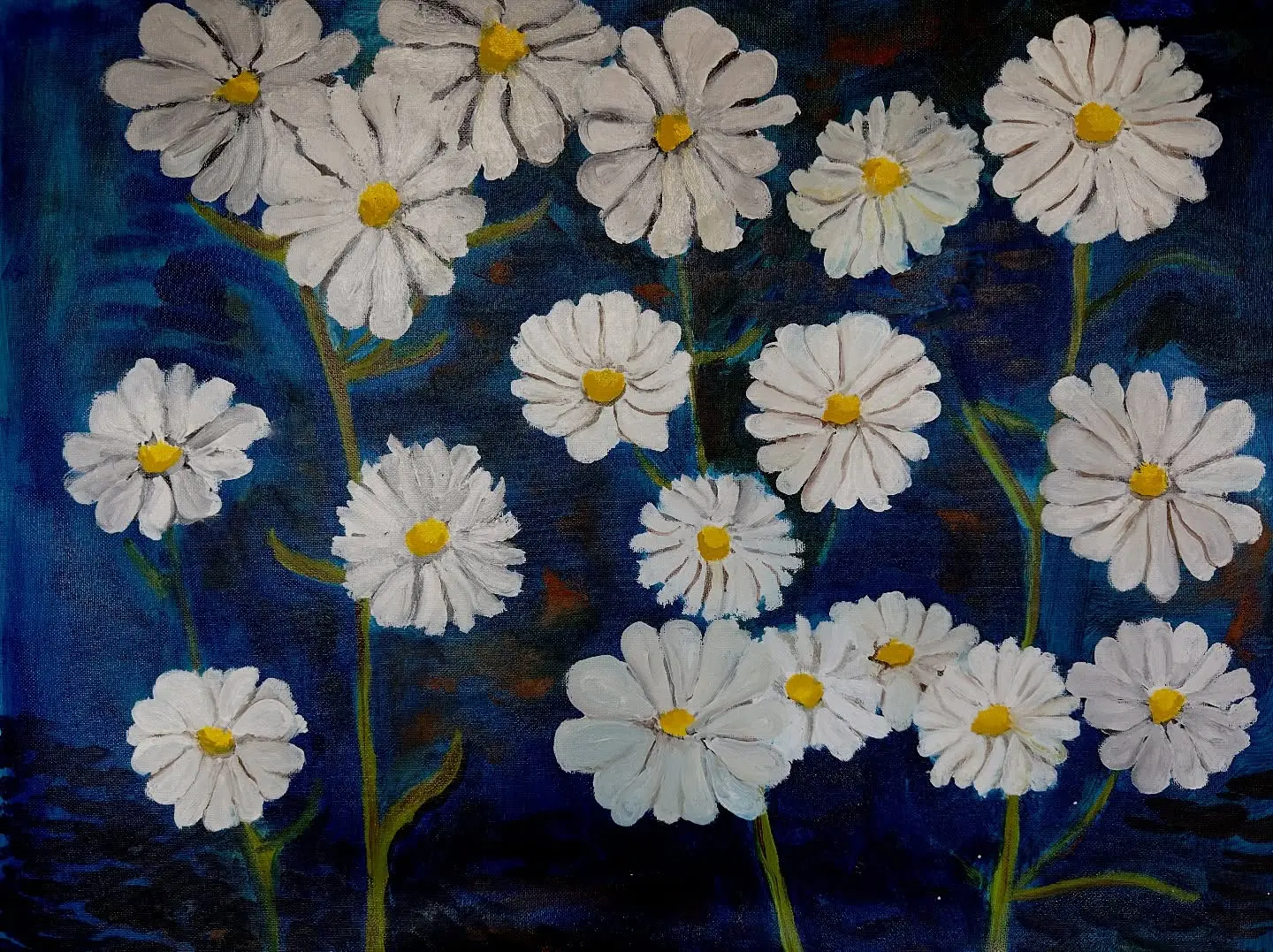 Mr. JD King Unveils White Daisies