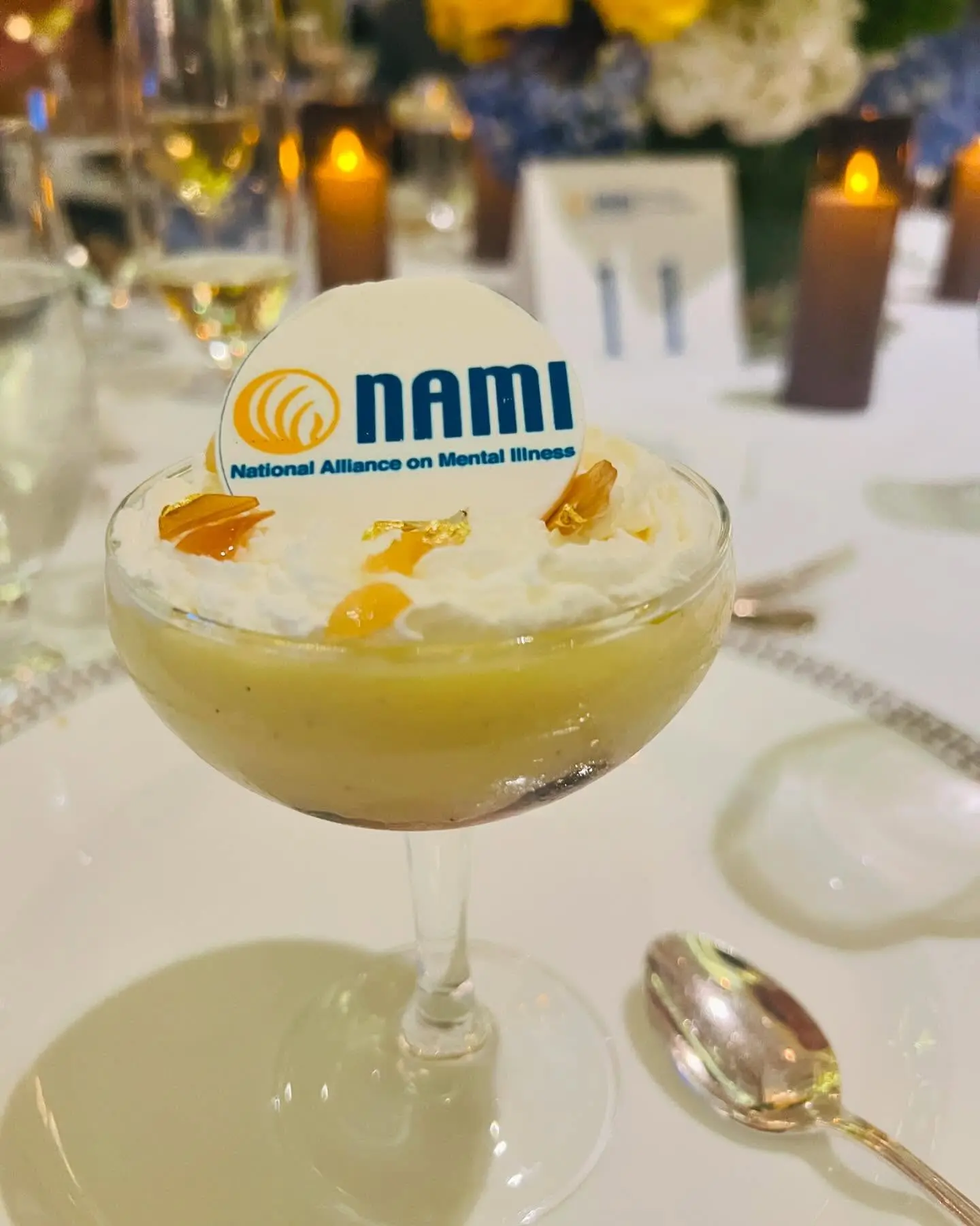 NAMI Gala Night Shines With Celebrity Danielle Nicolet