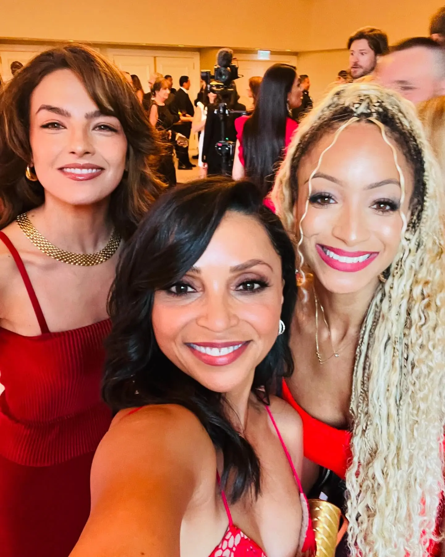 NAMI Gala Night Shines With Celebrity Danielle Nicolet