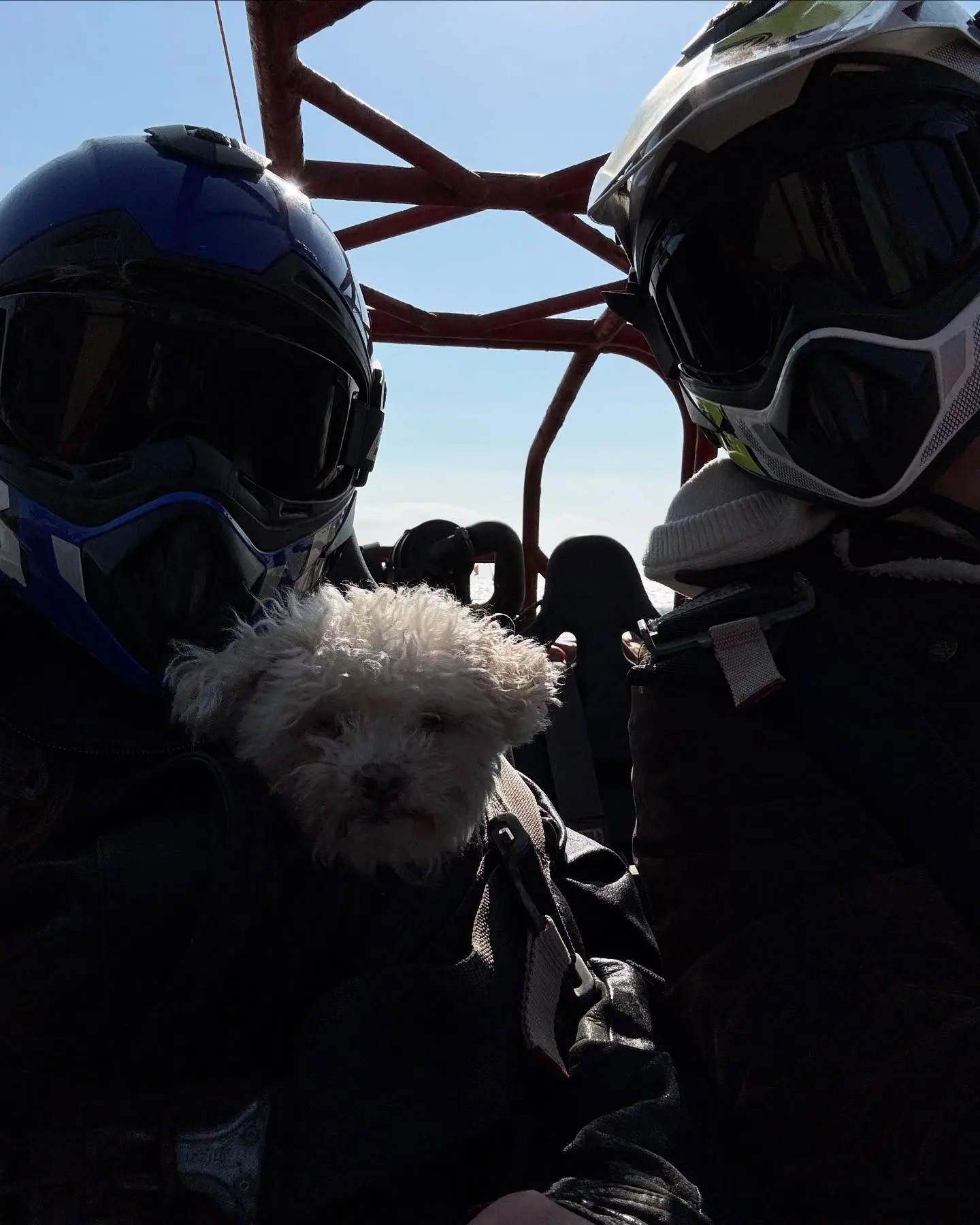 Natalie Alyn Lind’s Sand Dune Adventure Goes Sideways