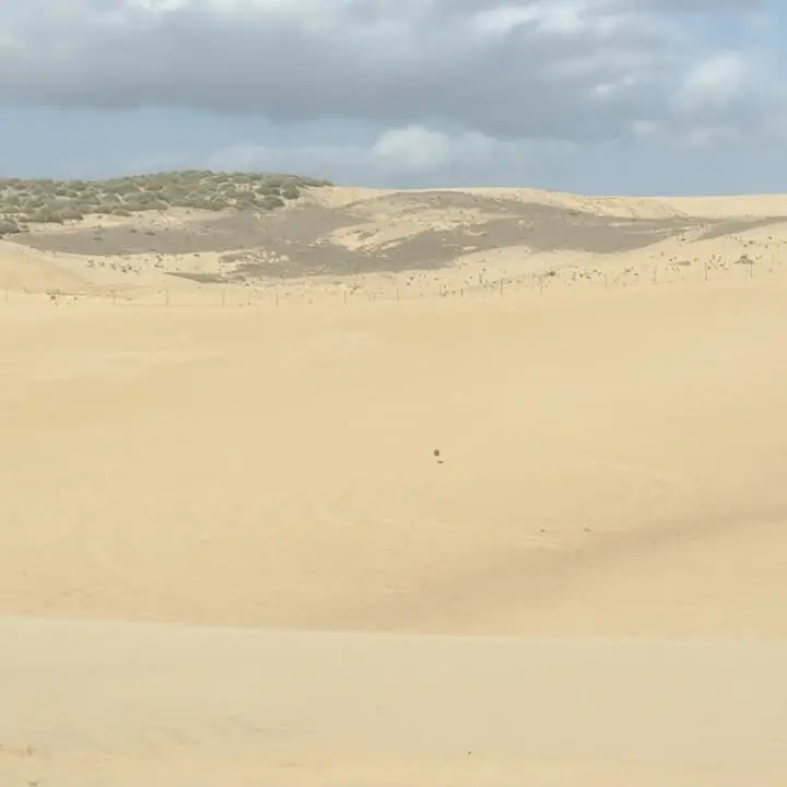 Natalie Alyn Lind’s Sand Dune Adventure Goes Sideways