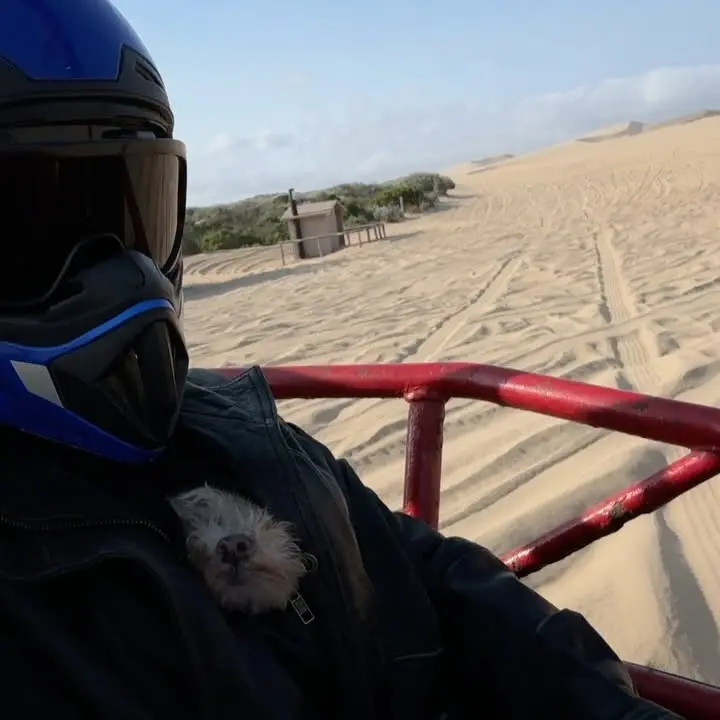 Natalie Alyn Lind’s Sand Dune Adventure Goes Sideways