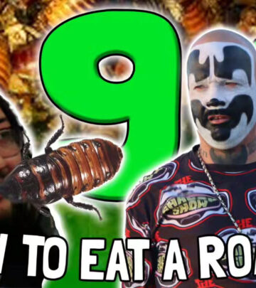 Joey Utsler's fresh episode ignites fan excitement while streaming live on YouTube tonight.