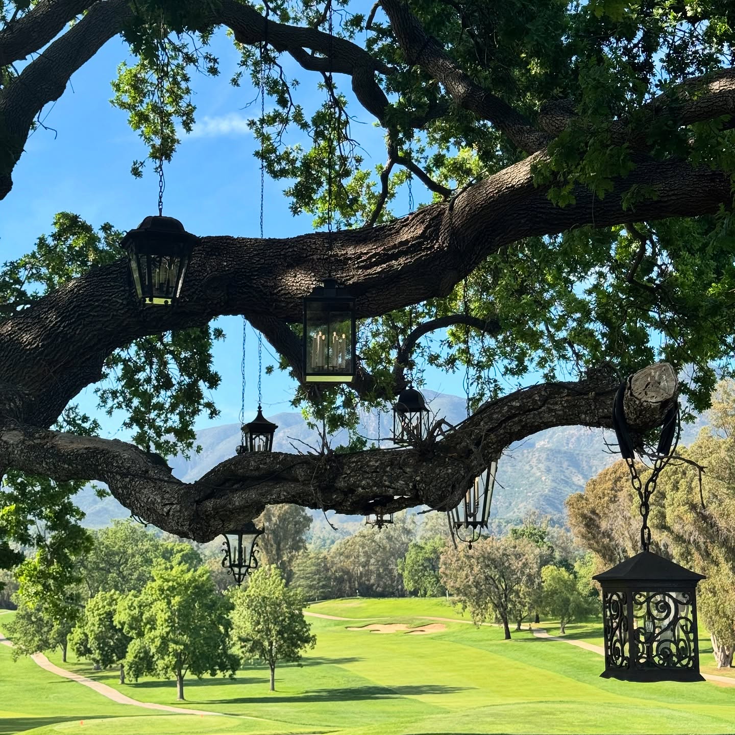 Nikki Martin Enjoys Spring On The Ranch