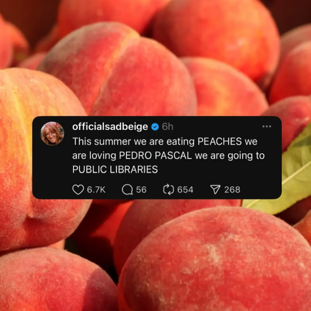 Peaches, Pedro Pascal And Public Libraries: Viral Meme Trend Hayley DeRoche injects humor into trending topics by mashing peaches, Pedro Pascal & libs.