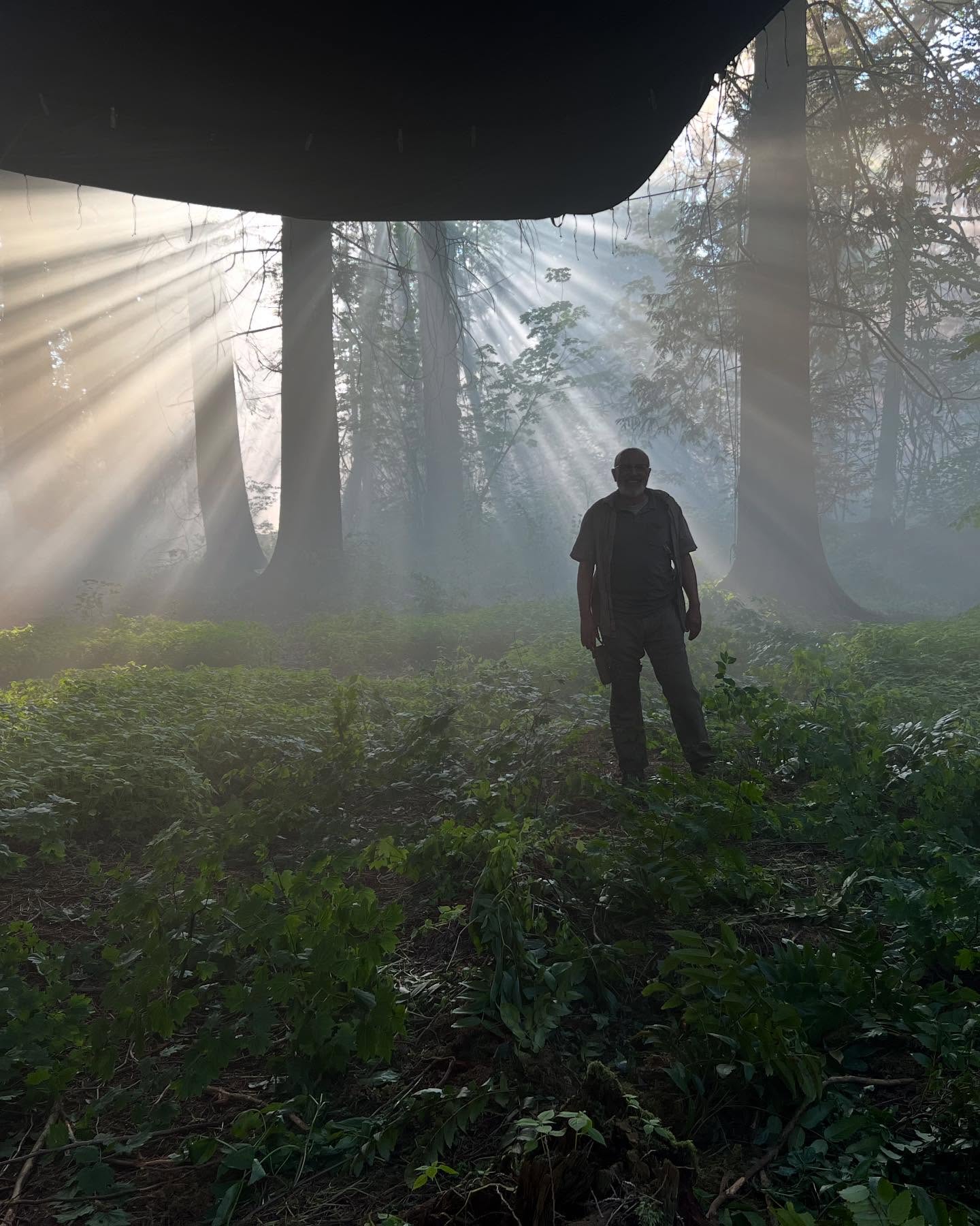 Pedro Pascal Celebrates Canada With #TLOU2 Spirit
