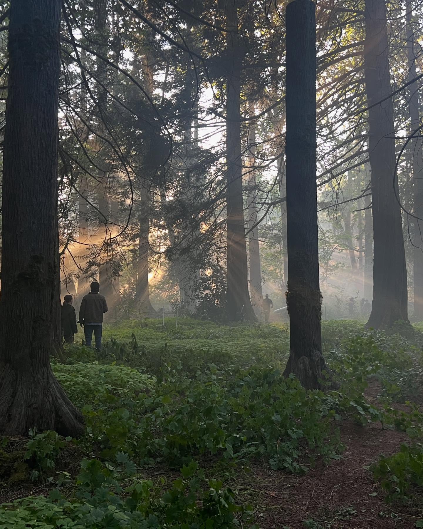 Pedro Pascal Celebrates Canada With #TLOU2 Spirit