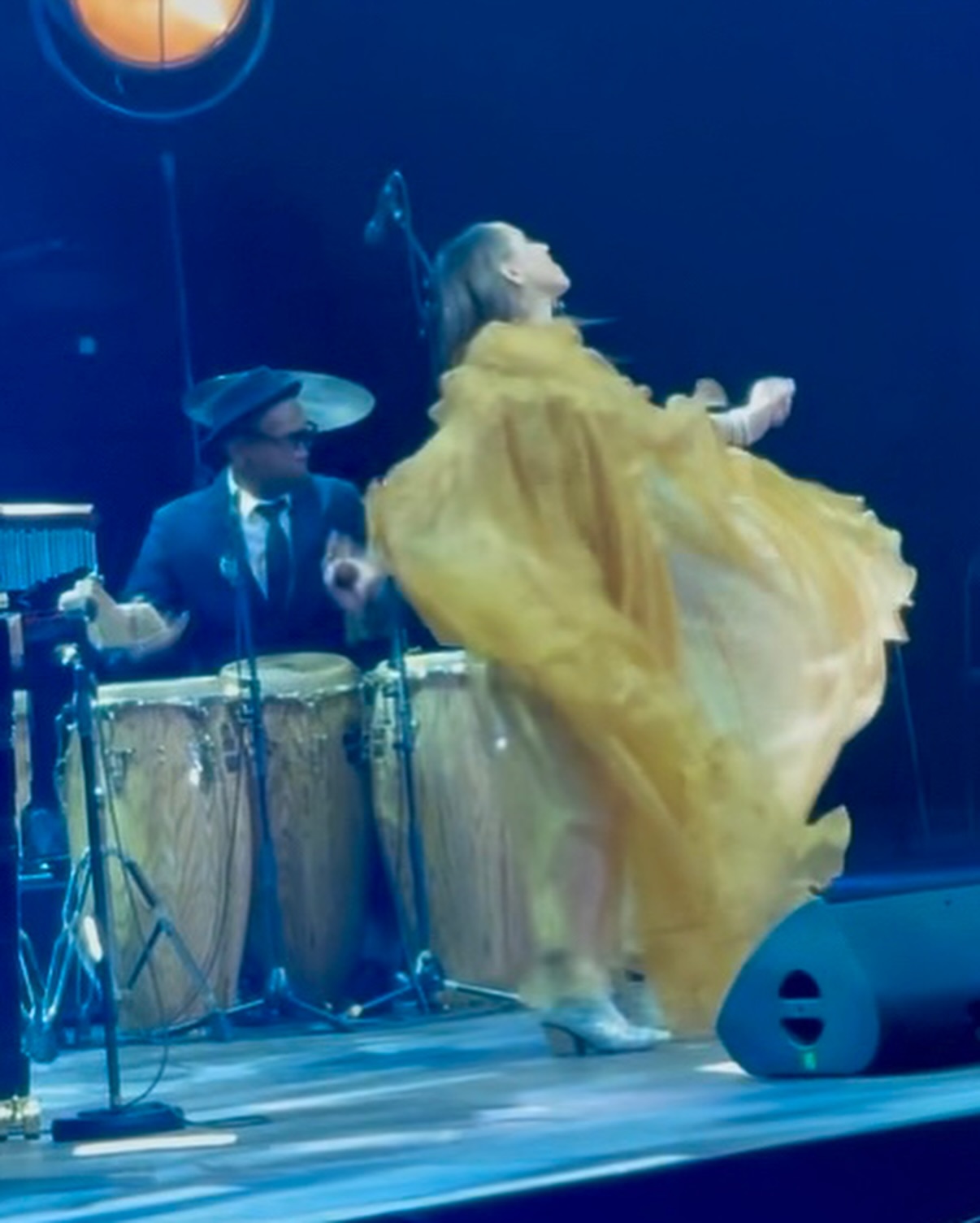 Pink Martini's 30th Anniversary: A Stadium Spectacle in Paris
