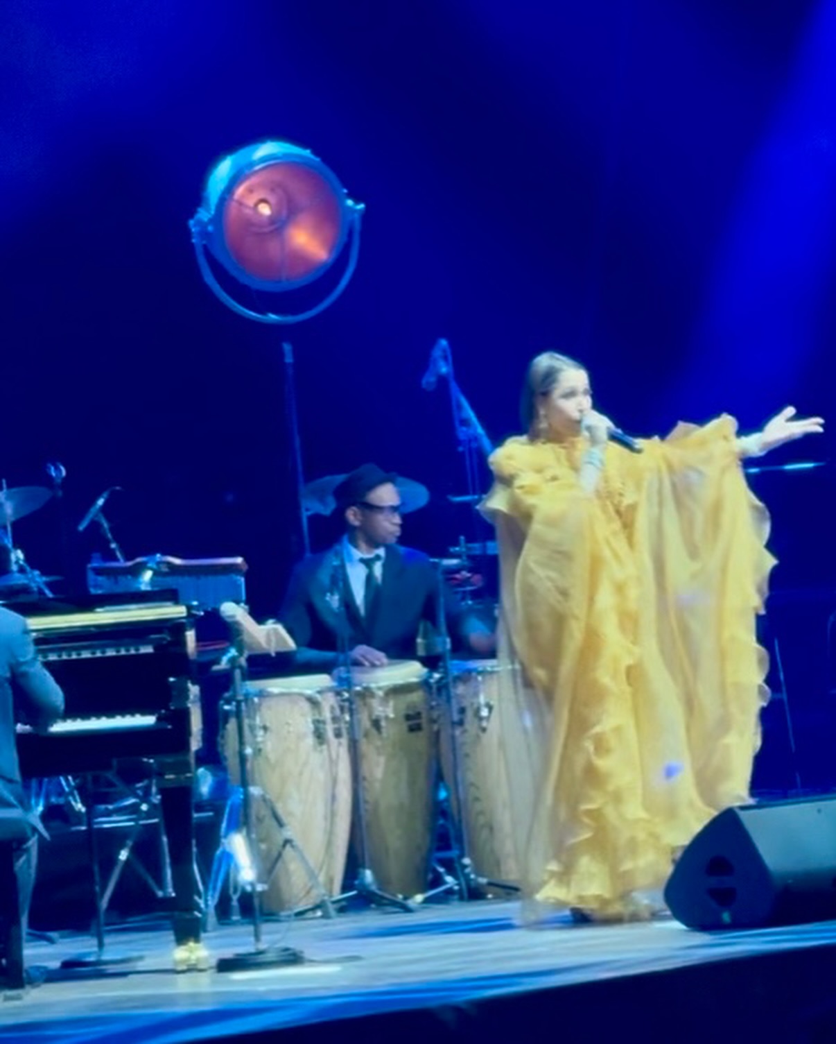 Pink Martini's 30th Anniversary: A Stadium Spectacle in Paris