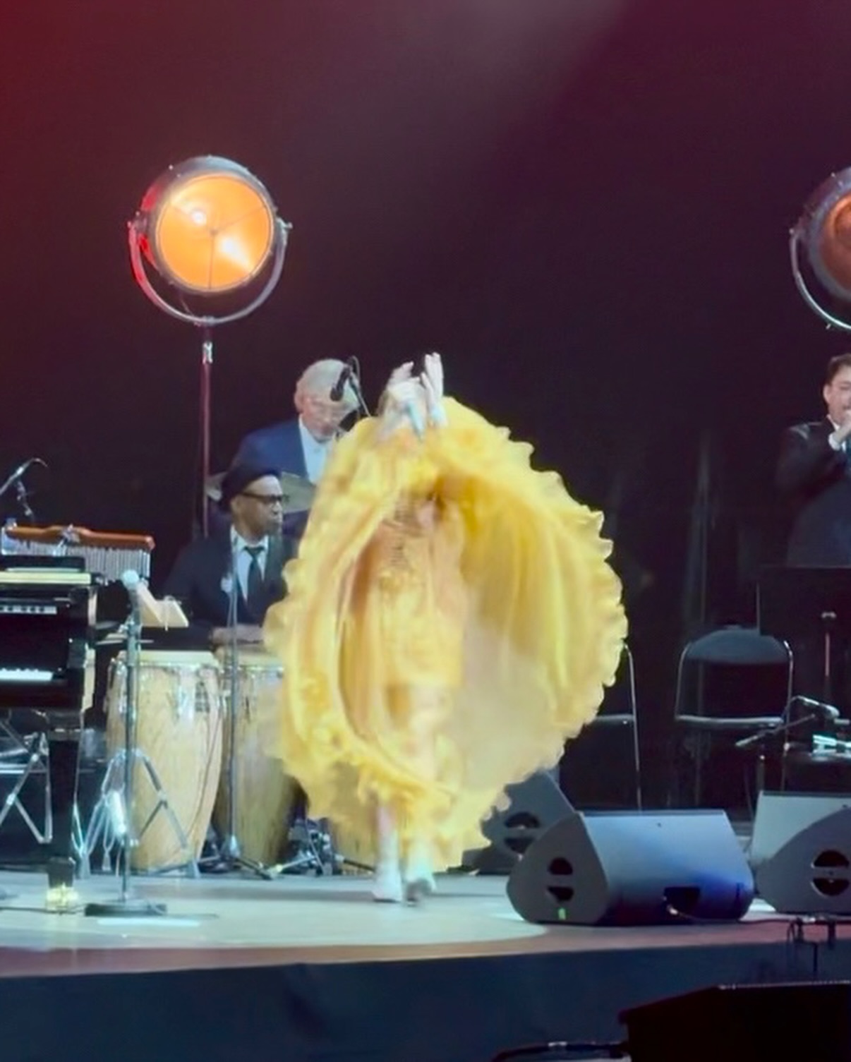 Pink Martini's 30th Anniversary: A Stadium Spectacle in Paris