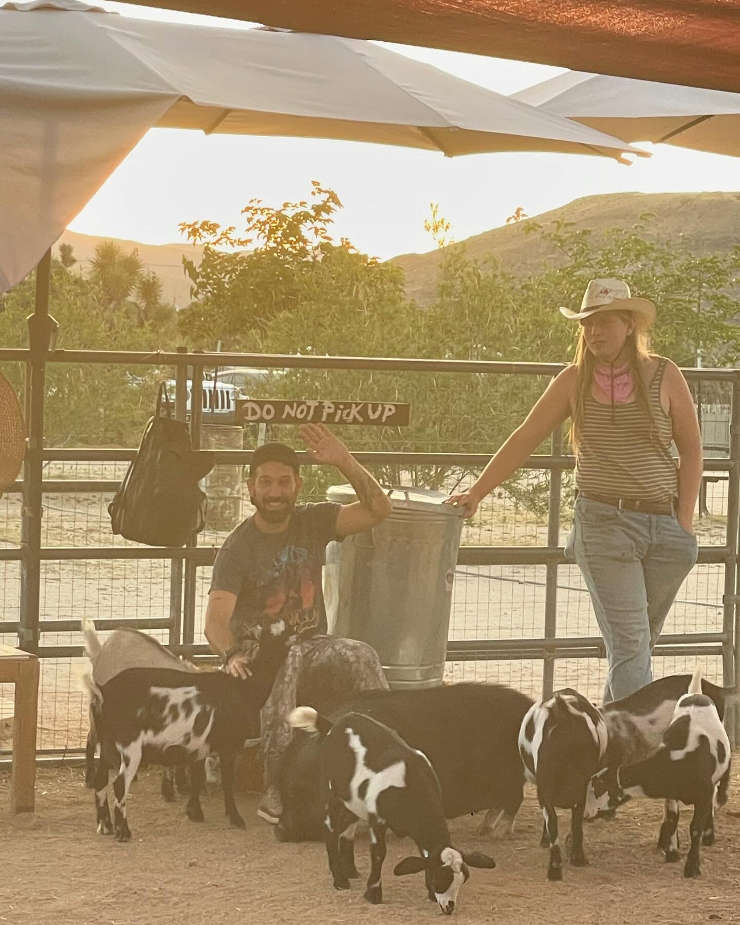 Pioneertown Night Out: Sunset, Drinks, Dinner, and a Show