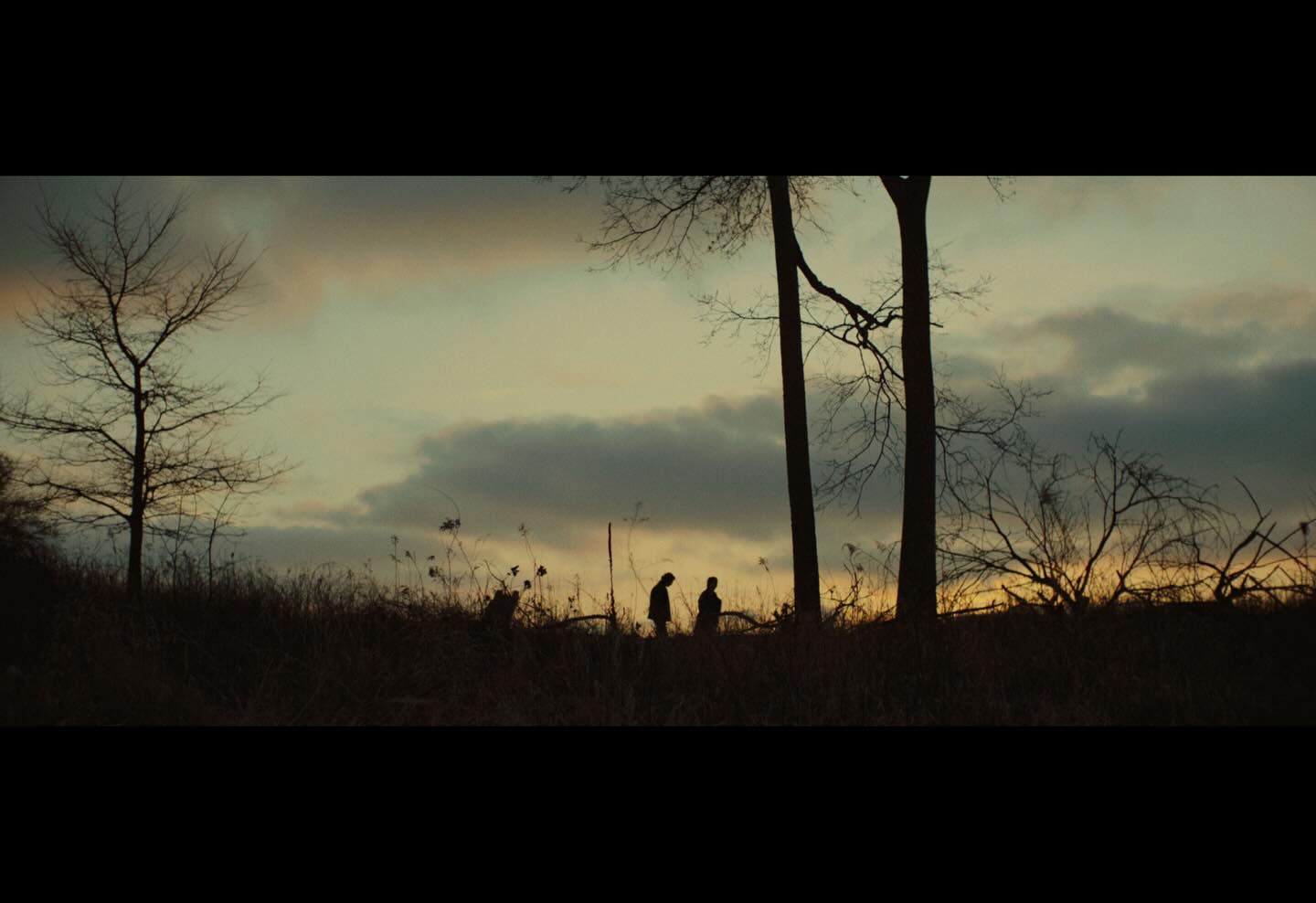 Production Wraps On Dog Years Film